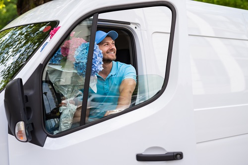 Véhicules utilitaires d'occasion